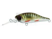 Hard Lure Adam's Shad 40 SP MR | 40mm 2.70g - Alevin