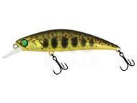 Hard Lure Adam's Zero Arise Minnow 60mm 6.1g - Gold Amago