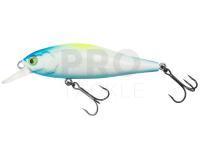 Lure Lucky John Anira 69SP - 911 Salmon Custom Series