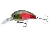 Hard Lure Daiwa Tournament Baby Crank 35F-SR | 3.5cm 3.5g - lazer red