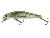 Hard Lure Daiwa Tournament Wise Minnow 70FS | 7cm 7.5g - see through shad