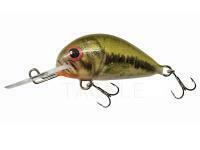 Lure Dorado Alaska A-3,5 Floating BS