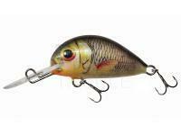 Lure Dorado Alaska A-5 Floating S