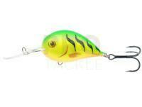 Lure Dorado Alaska Acustic 6cm - FT