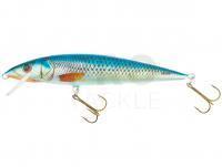 Hard Lure Dorado Classic 15 F | 15cm 20g - B