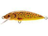 Lure Dorado Classic C-4 Floating TR
