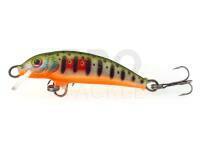 Lure Dorado Classic C-5 Floating DGR