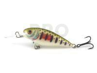 Dorado Invader I-5 Floating DGR