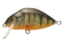 Lure Dorado Lake L-3,5 Sinking P