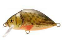 Lure Dorado Lake L-5 Floating G