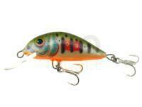 Lure Dorado Scout ST-4 Floating DGR