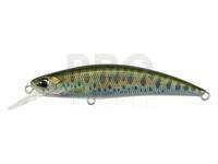 Lure DUO DUO Spearhead Ryuki 60S - ACC4834