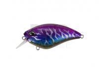 Hard Lure DUO Realis Apex Crank 66 Squared 66mm 17.7g | 2-5/8in 5/8oz  - CCC3272 AM Magic