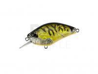 Crankbait DUO Realis Crank Kabuki 55 SR | 55mm 9.7g | 2-1/8in 3/8oz -  CDX3933 Champagne Tiger