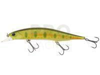 Lure DUO Realis Jerkbait 120SP - ANI4004