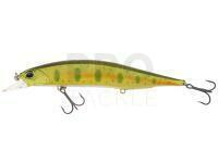 Lure DUO Realis Jerkbait 120SP - ANI4004