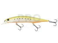 Lure DUO Realis Jerkbait 120SP - AST0333