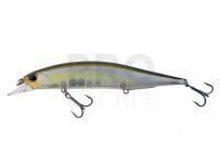 Lure DUO Realis Jerkbait 120SP - CCC3176 Morning Dawn