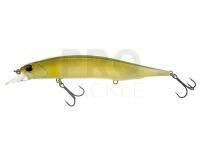 Lure DUO Realis Jerkbait 120SP - DST3070 Dead Ayu