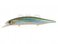 Lure DUO Realis Jerkbait SP SW Limited 12cm - AHA0014 Katakuchi