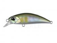 Lure DUO Spearhead Ryuki 45S - ANA4010