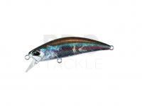 Hard Lure DUO Spearhead Ryuki 50SP | 50mm 3.3g - ADA4013