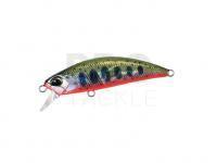 Hard Lure DUO Spearhead Ryuki 50SP | 50mm 3.3g - ADA4068