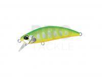 Hard Lure DUO Spearhead Ryuki 50SP | 50mm 3.3g - ASI4044