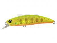 Lure DUO Spearhead Ryuki 60S - ANA4056 Gold Yamame