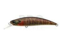 Hard Lure Duo Spearhead Ryuki 80S - CCC3357