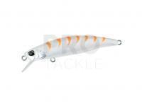 Hard Lure DUO Tide Minnow 75 Sprint | 75mm 11g | 3in 3/8oz - ASI0106 Gigo