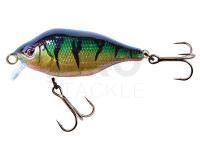 Hard Lure Fox Rage Funk Bug 40mm 4g SR - UV Original Perch