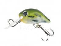 Hard Lure Gloog Loki 25mm 1.3g Floating - Frog