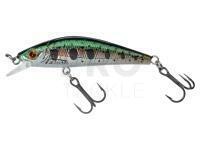 Hard Lure Gunki Gamera 50 HW - HL Rainbow Trout