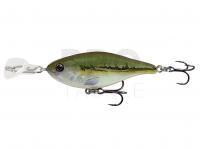 Hard Lure Headbanger Cranky Shad 64mm 10g Slow sink - Minnow