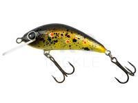 Hard Lure HMGlures SilentASSASIN 49 F | 49mm 3.9g - 493904