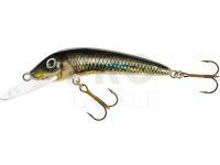 Lure Jaxon Holo Select Ferox UV 10cm - PE