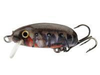 Lure Hunter Insect 2.6cm FS - BR