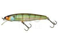 Hard Lure Illex Arnaud 100 F | 10cm 16g - Agressive Perch