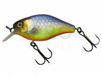 Hard Lure Illex Cherry 10 CC 50mm 9.5g - Muddy Secret Tiger