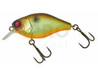 Hard Lure Illex Chubby 38 mm 4g - Muddy Roach