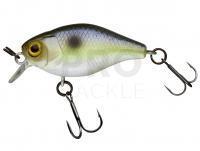 Hard Lure Illex Chubby 38 mm 4g - Pearl Sexy Shad