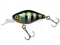 Hard Lure Illex Chubby 38 MR | 38mm 4.0g - HL Sunfish