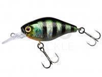 Hard Lure Illex Chubby 38 MR | 38mm 4.2g - HL Sunfish