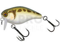 Hard Lure Illex Chubby 41 SSR 4.1cm 5.7g - Tonosama