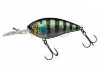 Crank Bait Illex Digle 2 + | 62mm 14.3g Floating 2m+ - HL Sunfish