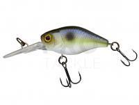 Hard Lure Illex Diving Chubby 38 mm 4.3g - Pearl Sexy Shad
