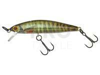 Hard lure Illex Flat Fly 50 SP 50mm 2.3g - RT Spawning Vairon