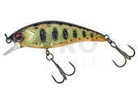 Hard Lure Illex Flat Tricoroll 45 S - Muddy Yamame