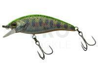 Hard Lure Illex Flat Tricoroll 55 S - RT Visible Yamame